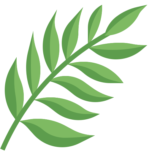 ./fern_leaves.png