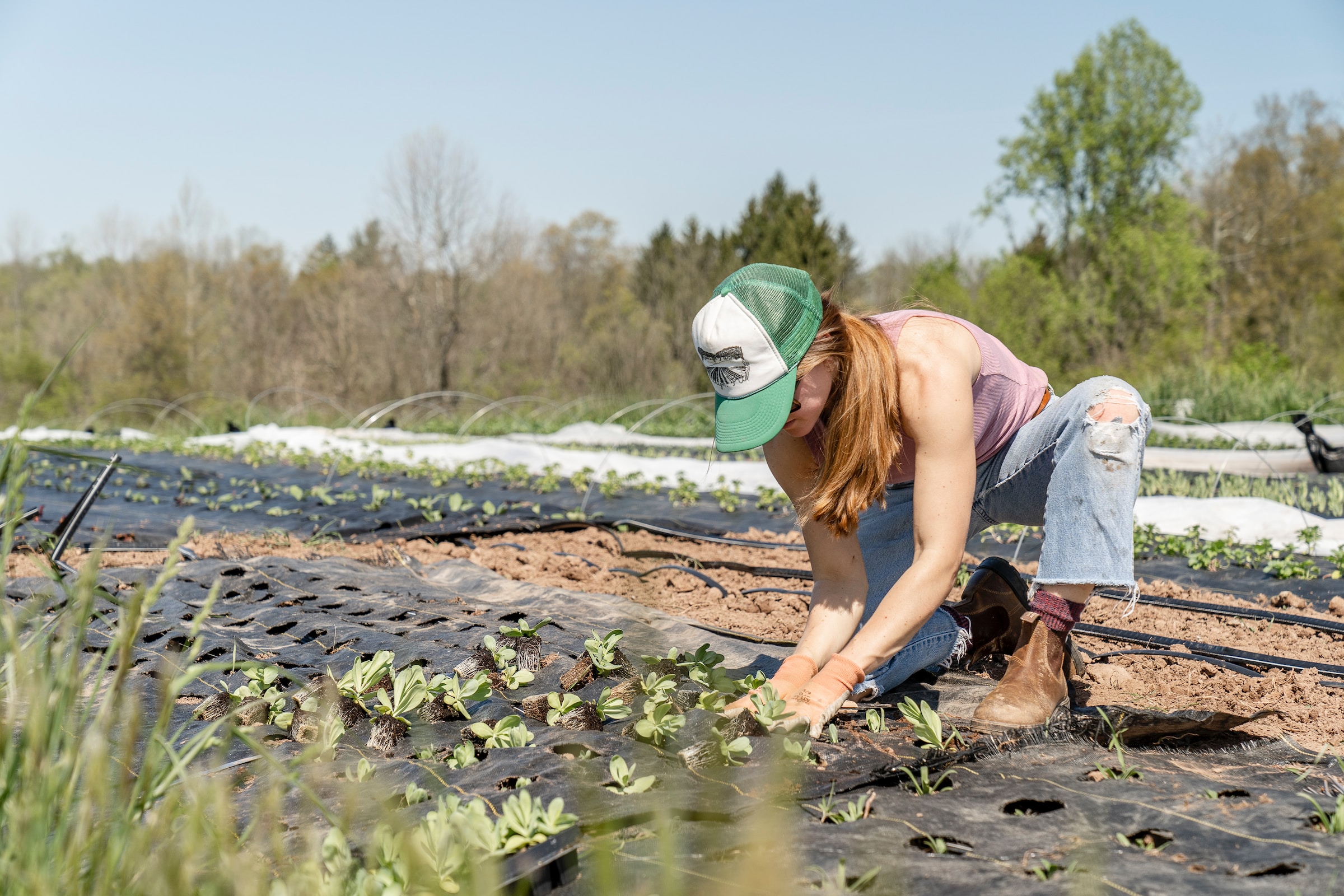 sustainable-agriculture